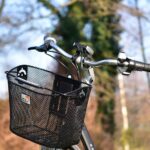 ebike